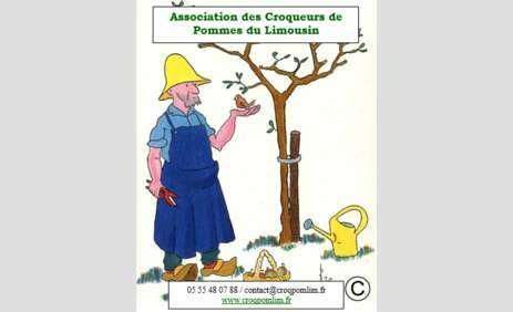 Association des Croqueurs de Pommes du Limousin